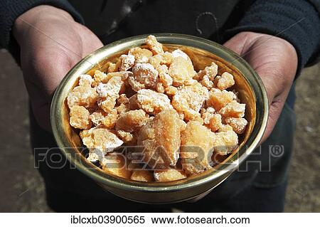 "Woman's hands holding a bowl of Eezgii, dried cheese, Terkhiin Tsagaan Nuur, North Steppe, Arkhangai Province, Mongolia, Asia" View Large Photo Image Stock Photography - "Woman's hands holding a bowl of Eezgii, dried cheese, Terkhiin Tsagaan Nuur, North Steppe, Arkhangai Province, Mongolia, Asia". Fotosearch