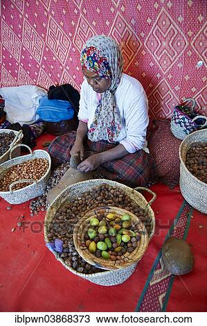 Stock Image - "Women cracking argan nuts at the Cooperative Marjana, Ounara, Essaouira, Morocco, Africa". Fotosearch