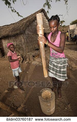 Stock Photo - "Women of the Rabelados religious community pounding corn in a mortar, near Tarrafal, Santiago, Cape Verde, Africa". Fotosearch