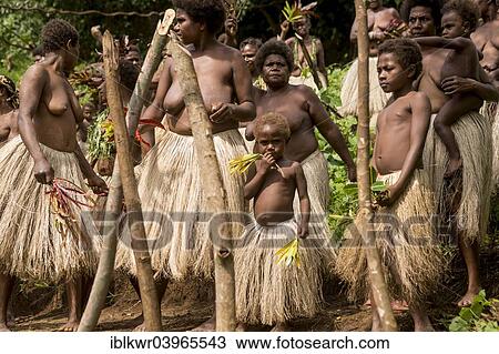 "Women of the Sa people dancing at the Land diving ceremony, Pentecost Island, Vanuatu, Oceania" View Large Photo Image Stock Image - "Women of the Sa people dancing at the Land diving ceremony, Pentecost Island, Vanuatu, Oceania". Fotosearch