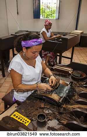 "Women rolling cigars in the Dannemann cigar company, Cachoeira, Bahia, Brazil, South America" View Large Photo Image Stock Photo - "Women rolling cigars in the Dannemann cigar company, Cachoeira, Bahia, Brazil, South America". Fotosearch
