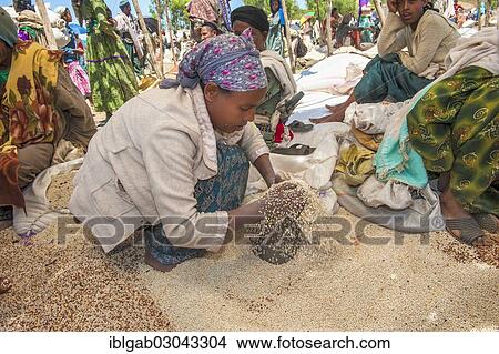 "Women selling grains, Lalibela market, Lalibela, Amhara Region, Ethiopia, Africa" View Large Photo Image Picture - "Women selling grains, Lalibela market, Lalibela, Amhara Region, Ethiopia, Africa". Fotosearch