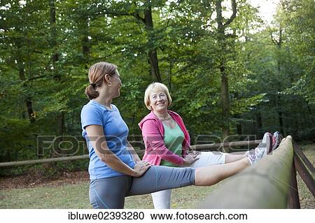 Women stretching on an outdoor fitness trail View Large Photo Image Stock Image - Women stretching on an outdoor fitness trail. Fotosearch