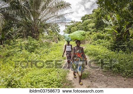 "Women walking on a jungle trail, Tiwai Island, Southern Province, Sierra Leone, Africa" View Large Photo Image Stock Image - "Women walking on a jungle trail, Tiwai Island, Southern Province, Sierra Leone, Africa". Fotosearch