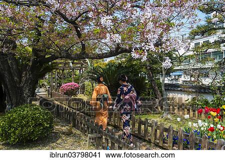 "Women wearing traditional dresses, kimonos, Nagasaki, Japan, Asia" View Large Photo Image Stock Image - "Women wearing traditional dresses, kimonos, Nagasaki, Japan, Asia". Fotosearch
