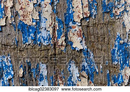 Stock Photo - Wood with paint coming off in flakes. Fotosearch