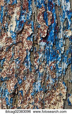 Wood with paint coming off in flakes View Large Photo Image Stock Photograph - Wood with paint coming off in flakes. Fotosearch