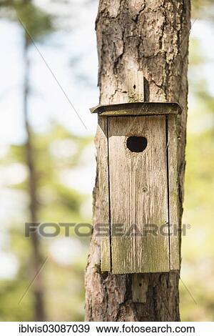"Wooden bird house on a pine tree, Sweden, Europe" View Large Photo Image Stock Photo - "Wooden bird house on a pine tree, Sweden, Europe". Fotosearch