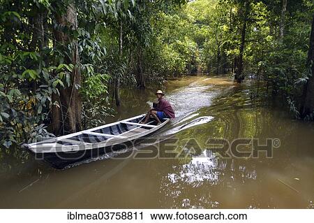 Stock Image - "Wooden boat travelling through the flooded Varzea Forests, seasonal floodplains, Mamiraua-Nationalpark, Amazonas State, Brazil, South America". Fotosearch