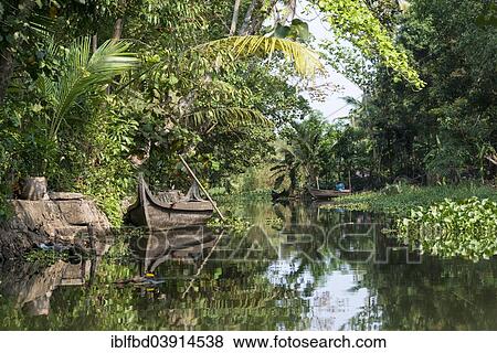 "Wooden boats, typical landscape with palm trees, Kerala Backwaters, Alappuzha, Kerala, India, Asia" View Large Photo Image Stock Photo - "Wooden boats, typical landscape with palm trees, Kerala Backwaters, Alappuzha, Kerala, India, Asia". Fotosearch