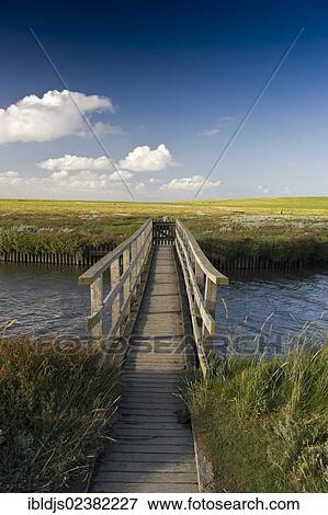 "Wooden bridge and salt marshes, Westerhever, Eiderstedt, North Frisia, Schleswig-Holstein, Germany, Europe" View Large Photo Image Stock Photo - "Wooden bridge and salt marshes, Westerhever, Eiderstedt, North Frisia, Schleswig-Holstein, Germany, Europe". Fotosearch