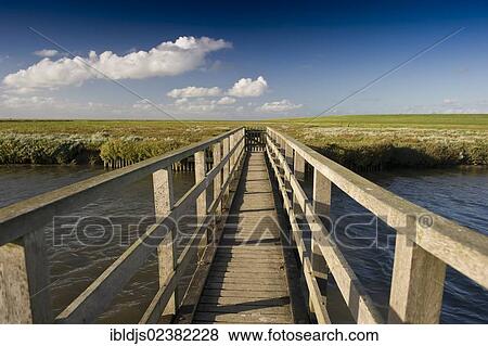 "Wooden bridge and salt marshes, Westerhever, Eiderstedt, North Frisia, Schleswig-Holstein, Germany, Europe" View Large Photo Image Stock Photo - "Wooden bridge and salt marshes, Westerhever, Eiderstedt, North Frisia, Schleswig-Holstein, Germany, Europe". Fotosearch