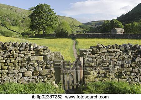 "Wooden gate in drystone wall, with 'Winter food for stock, please keep in single file' sign, leading to path through wildflower meadow, Muker, Swaledale, Yorkshire Dales National Park, North Yorkshire, England, United Kingdom, Europe" View Large Photo Image Stock Image - "Wooden gate in drystone wall, with 'Winter food for stock, please keep in single file' sign, leading to path through wildflower meadow, Muker, Swaledale, Yorkshire Dales National Park, North Yorkshire, England, United Kingdom, Europe". Fotosearch