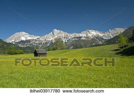 "Wooden hut on flower meadow, Gesause, Styria, Haller Mauern, Austria, Europe" View Large Photo Image Stock Image - "Wooden hut on flower meadow, Gesause, Styria, Haller Mauern, Austria, Europe". Fotosearch