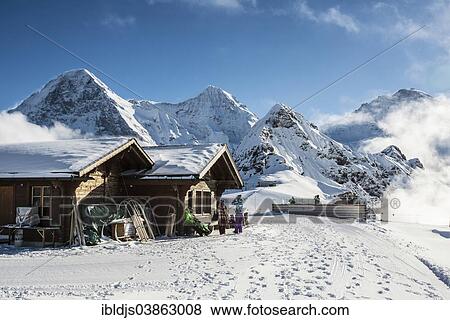 "Wooden hut on Mannlichen Mountain, peaks of Eiger, Monch and Jungfrau at the back, Grindelwald, Bernese Oberland, Canton of Bern, Switzerland, Europe" View Large Photo Image Stock Photo - "Wooden hut on Mannlichen Mountain, peaks of Eiger, Monch and Jungfrau at the back, Grindelwald, Bernese Oberland, Canton of Bern, Switzerland, Europe". Fotosearch
