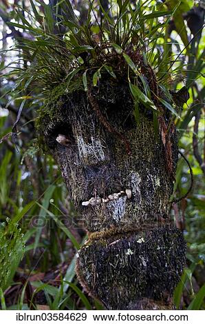 Stock Photo - "Wooden mask, Highlands, Papua New Guinea, Oceania". Fotosearch