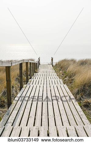 "Wooden staircase, boardwalk leading to Rantum beach, Rantum, Sylt, North Frisian Islands, Schleswig-Holstein, Germany, Europe" View Large Photo Image Stock Photo - "Wooden staircase, boardwalk leading to Rantum beach, Rantum, Sylt, North Frisian Islands, Schleswig-Holstein, Germany, Europe". Fotosearch