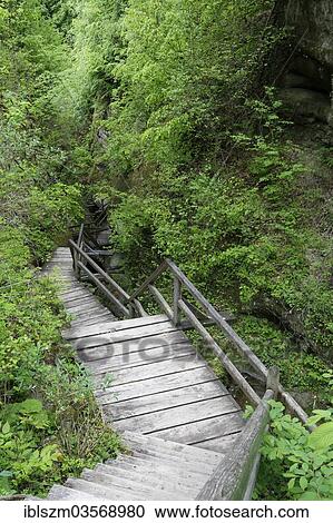 Stock Image - "Wooden staircase, Marienschlucht gorge, Bodanruck, Baden-Wurttemberg, Germany, Europe". Fotosearch