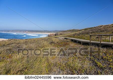 "Wooden walkway to a lookout point, Praia da Bordeira, Carrapateira, Algarve, West Coast, Portugal, Atlantic, Europe" View Large Photo Image Stock Photograph - "Wooden walkway to a lookout point, Praia da Bordeira, Carrapateira, Algarve, West Coast, Portugal, Atlantic, Europe". Fotosearch