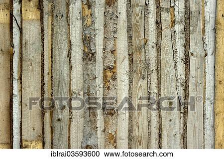 "Wooden wall from old untreated grayed boards, Landshut, Lower Bavaria, Bavaria, Germany, Europe" View Large Photo Image Stock Image - "Wooden wall from old untreated grayed boards, Landshut, Lower Bavaria, Bavaria, Germany, Europe". Fotosearch