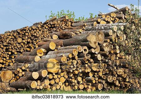 Stock Image - "Woodpile, Rudiskes, Lithuania, Baltic States, Europe". Fotosearch