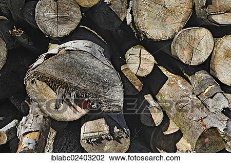 "Woodpile with oak and beech trunks, Schaeftlarn, Bavaria, Germany, Europe" View Large Photo Image Stock Image - "Woodpile with oak and beech trunks, Schaeftlarn, Bavaria, Germany, Europe". Fotosearch