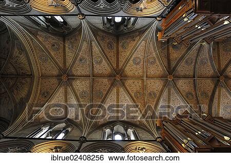 "Worcester Cathedral, Worcester, England, United Kingdom, Europe" View Large Photo Image Stock Photograph - "Worcester Cathedral, Worcester, England, United Kingdom, Europe". Fotosearch