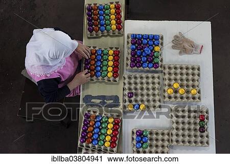 "Worker during quality control of colourful dyed Easter eggs, Beham egg dyeing company, Thannhausen, Bayern, Germany, Europe" View Large Photo Image Stock Image - "Worker during quality control of colourful dyed Easter eggs, Beham egg dyeing company, Thannhausen, Bayern, Germany, Europe". Fotosearch