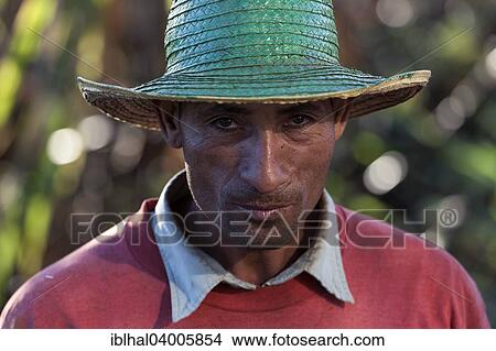 "Worker on a sugar cane field, portrait, near Cienfuegos, Cuba, North America" View Large Photo Image Picture - "Worker on a sugar cane field, portrait, near Cienfuegos, Cuba, North America". Fotosearch