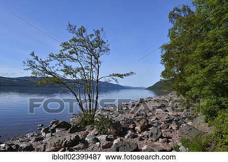 "World famous Loch Ness, near Inverness, Scotland, United Kingdom, Europe" View Large Photo Image Stock Photo - "World famous Loch Ness, near Inverness, Scotland, United Kingdom, Europe". Fotosearch