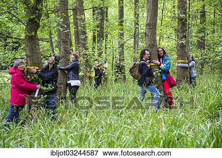 "World record in tree hugging, initiative and record attempt of the WWF, 848 people hugged trees at the same time, Grugapark, Essen, North Rhine-Westphalia, Germany, Europe" View Large Photo Image Stock Photo - "World record in tree hugging, initiative and record attempt of the WWF, 848 people hugged trees at the same time, Grugapark, Essen, North Rhine-Westphalia, Germany, Europe". Fotosearch