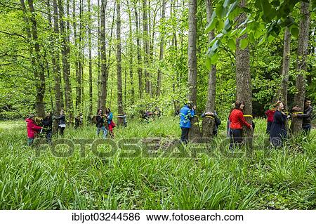 "World record in tree hugging, initiative and record attempt of the WWF, 848 people hugged trees at the same time, Grugapark, Essen, North Rhine-Westphalia, Germany, Europe" View Large Photo Image Stock Photograph - "World record in tree hugging, initiative and record attempt of the WWF, 848 people hugged trees at the same time, Grugapark, Essen, North Rhine-Westphalia, Germany, Europe". Fotosearch