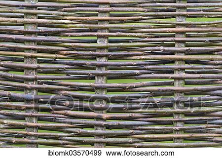 "Woven fence made from hazel rods, reconstructed Viking settlement, Hedeby Viking Museum, Busdorf, Schleswig-Holstein, Germany, Europe" View Large Photo Image Stock Photo - "Woven fence made from hazel rods, reconstructed Viking settlement, Hedeby Viking Museum, Busdorf, Schleswig-Holstein, Germany, Europe". Fotosearch