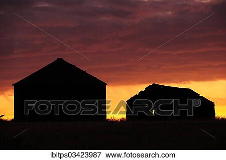 "Wrecked barn with silo in silhouette at sunrise on the prairie, Saskatchewan Province, Canada, North America" View Large Photo Image Stock Photo - "Wrecked barn with silo in silhouette at sunrise on the prairie, Saskatchewan Province, Canada, North America". Fotosearch