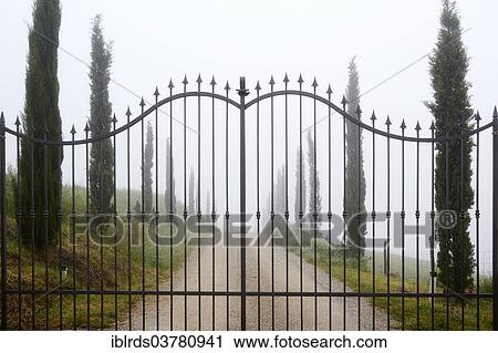 "Wrought iron gate in the morning mist, Chiusure, Arbia, Tuscany, Italy, Europe" View Large Photo Image Stock Image - "Wrought iron gate in the morning mist, Chiusure, Arbia, Tuscany, Italy, Europe". Fotosearch