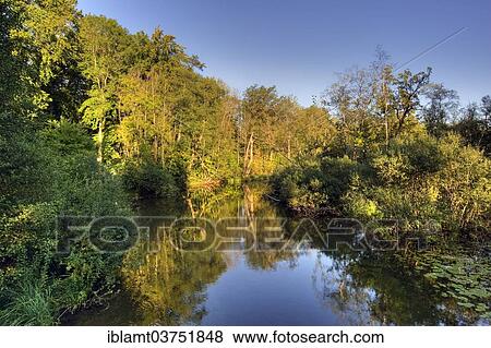 "Wuerm river in autumn, Leutstetten, Starnberg, Upper Bavaria, Bavaria, Germany, Europe" View Large Photo Image Stock Photo - "Wuerm river in autumn, Leutstetten, Starnberg, Upper Bavaria, Bavaria, Germany, Europe". Fotosearch