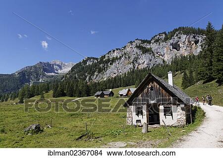 "Wurzeralm alp, Spital am Pyhrn, Pyhrn-Priel, Traunviertel region, Upper Austria, Austria, Europe" View Large Photo Image Picture - "Wurzeralm alp, Spital am Pyhrn, Pyhrn-Priel, Traunviertel region, Upper Austria, Austria, Europe". Fotosearch