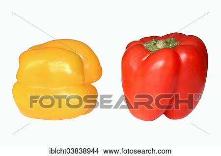 Yellow and Red Bell Peppers (Capsicum annuum) View Large Photo Image Picture - Yellow and Red Bell Peppers (Capsicum annuum). Fotosearch