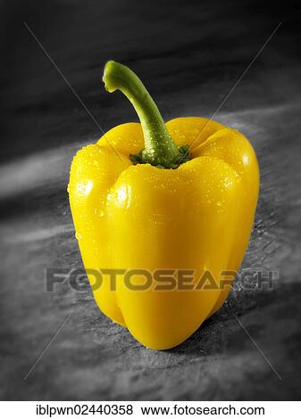 Stock Photo - Yellow bell pepper. Fotosearch