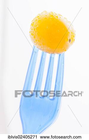 Yellow plum tomato on a blue fork View Large Photo Image Stock Image - Yellow plum tomato on a blue fork. Fotosearch