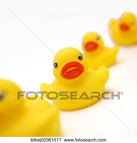 Yellow rubber ducks View Large Photo Image Stock Photo - Yellow rubber ducks. Fotosearch