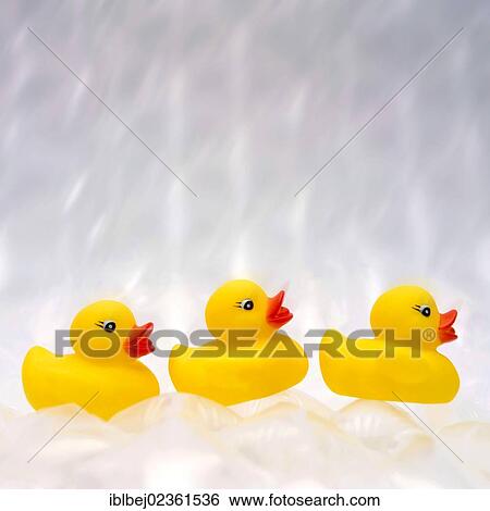 Yellow rubber ducks View Large Photo Image Stock Photograph - Yellow rubber ducks. Fotosearch