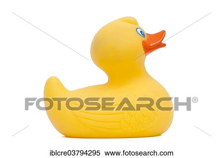 Stock Photography - Yellow rubber ducky. Fotosearch