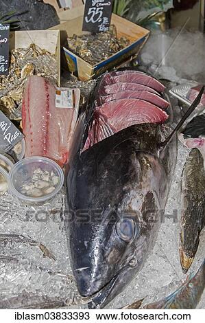 Stock Image - "Yellowfin Tuna, also """"Ahi"""" (Thunnus albacares), cut into pieces at a fish market, Chiang Mai, Chiang Mai Province, Thailand, Asia". Fotosearch