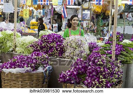 "Yodpiman Flower Market, Bangkok, Thailand, Asia" View Large Photo Image Stock Image - "Yodpiman Flower Market, Bangkok, Thailand, Asia". Fotosearch