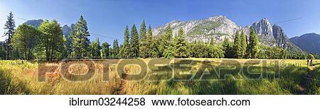 "Yosemite Valley, panoramic view of Eagle Peak and the Yosemite Fall, Yosemite Village, Yosemite National Park, California, United States, North America" View Large Photo Image Stock Photo - "Yosemite Valley, panoramic view of Eagle Peak and the Yosemite Fall, Yosemite Village, Yosemite National Park, California, United States, North America". Fotosearch