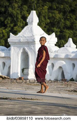 "Young buddhist monk or novice, Buddhist Hsinbyume Pagoda or Myatheindan Pagoda, Mingun, Sagaing Division, Myanmar, Asia" View Large Photo Image Stock Image - "Young buddhist monk or novice, Buddhist Hsinbyume Pagoda or Myatheindan Pagoda, Mingun, Sagaing Division, Myanmar, Asia". Fotosearch
