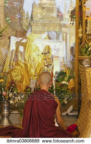 "Young Buddhist monk with a tattoo on the back of his head, praying in the temple, from behind, Yangon, Myanmar, Asia" View Large Photo Image Stock Photo - "Young Buddhist monk with a tattoo on the back of his head, praying in the temple, from behind, Yangon, Myanmar, Asia". Fotosearch