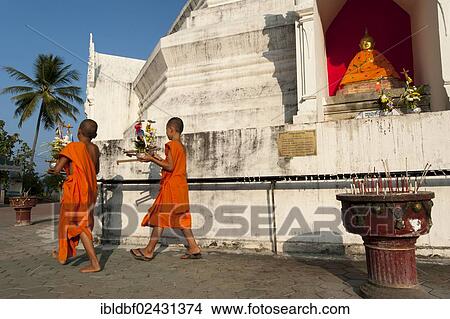 "Young Buddhist monks with offerings in front of a Pagoda or Chedi, Temple complex of Wat Phra That Doi Kong Mu, Mae Hong Son, Northern Thailand, Thailand, Asia" View Large Photo Image Picture - "Young Buddhist monks with offerings in front of a Pagoda or Chedi, Temple complex of Wat Phra That Doi Kong Mu, Mae Hong Son, Northern Thailand, Thailand, Asia". Fotosearch