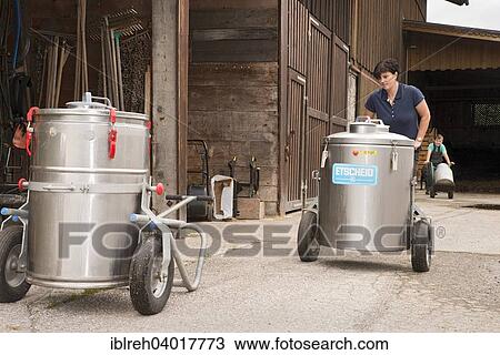 "Young farmer at work on a farm, transport container with milk for collection, farm of the Sprenger family, Schwaz District, Tyrol, Austria Family" View Large Photo Image Stock Image - "Young farmer at work on a farm, transport container with milk for collection, farm of the Sprenger family, Schwaz District, Tyrol, Austria Family". Fotosearch